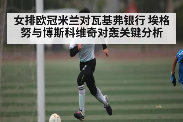 女排欧冠米兰对瓦基弗银行 埃格努与博斯科维奇对轰关键分析